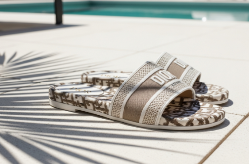 Dior slides