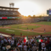 mexico baseball